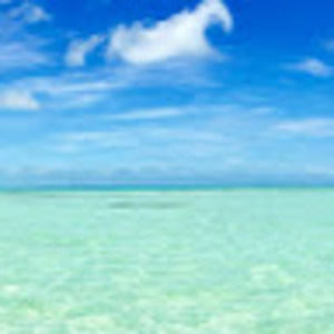 Meet your Posher, Christi